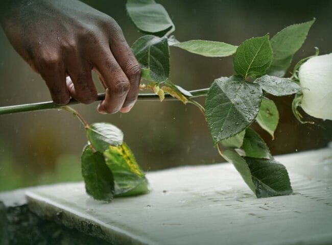 The term "executor" itself is used across many legal systems and cultures. Other terms like "estate trustee" and "estate representative" are also used, but the core function remains the same: managing the estate according to the will.