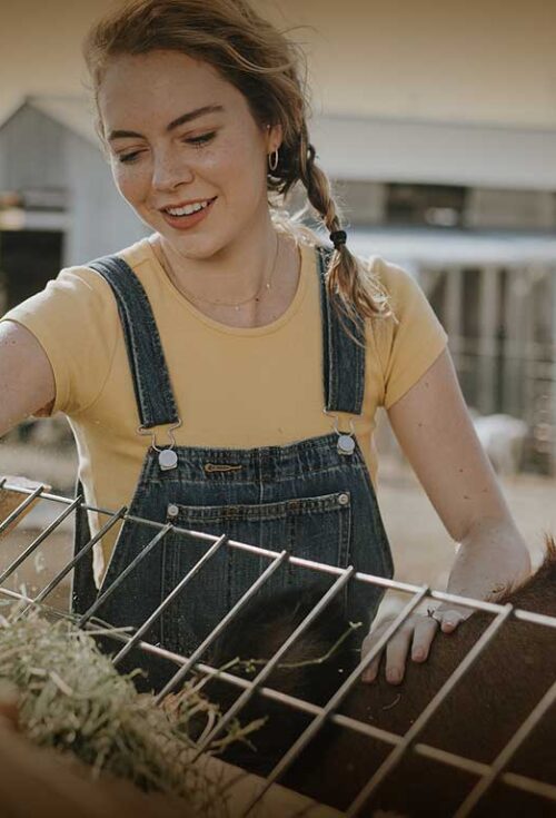 Many family farms are comprised of large, valuable parcels of farmland that have been passed down through generations. This blog post highlights why family farm operations are uniquely susceptible to estate battles.
