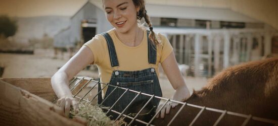 Many family farms are comprised of large, valuable parcels of farmland that have been passed down through generations. This blog post highlights why family farm operations are uniquely susceptible to estate battles.