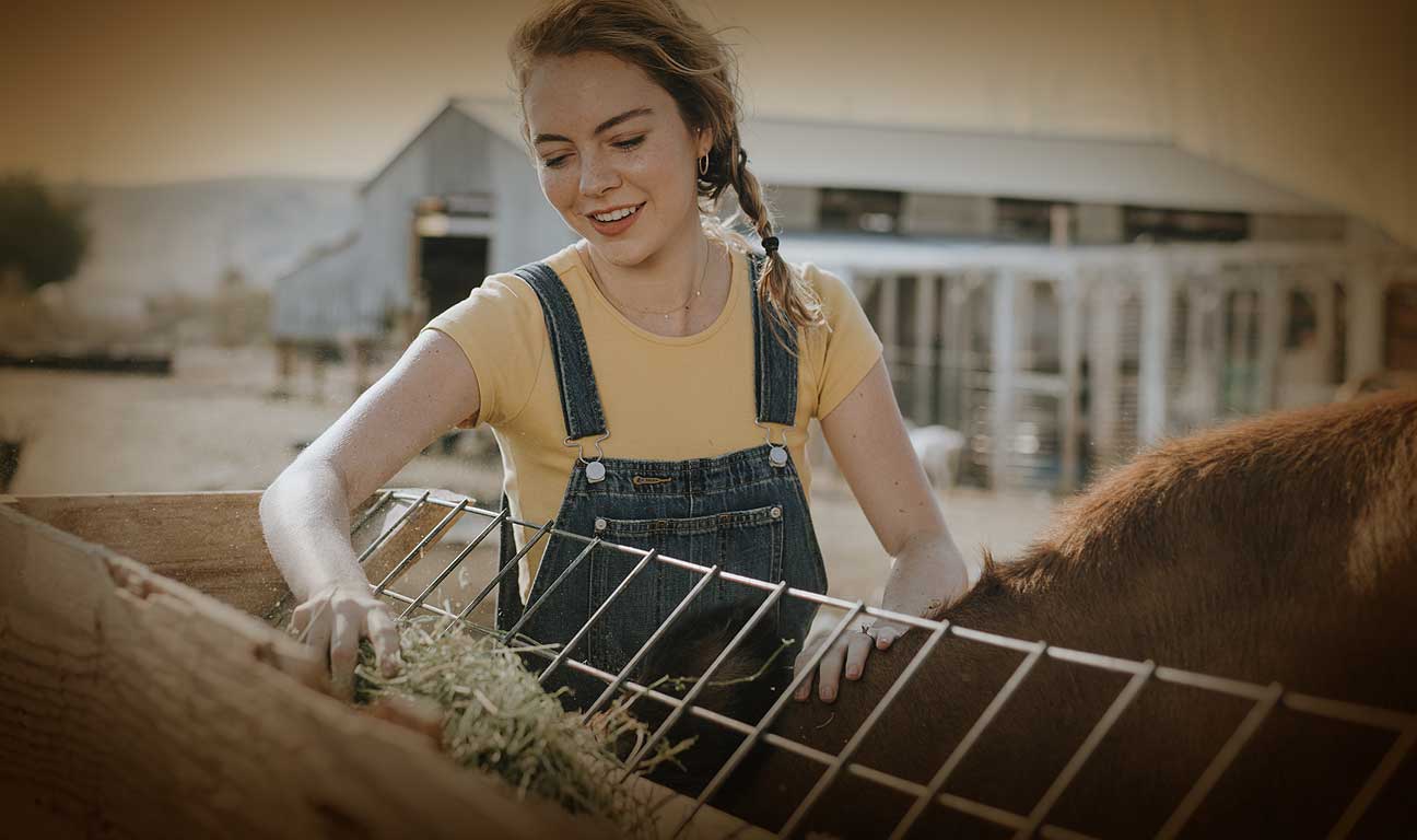 Many family farms are comprised of large, valuable parcels of farmland that have been passed down through generations. This blog post highlights why family farm operations are uniquely susceptible to estate battles.