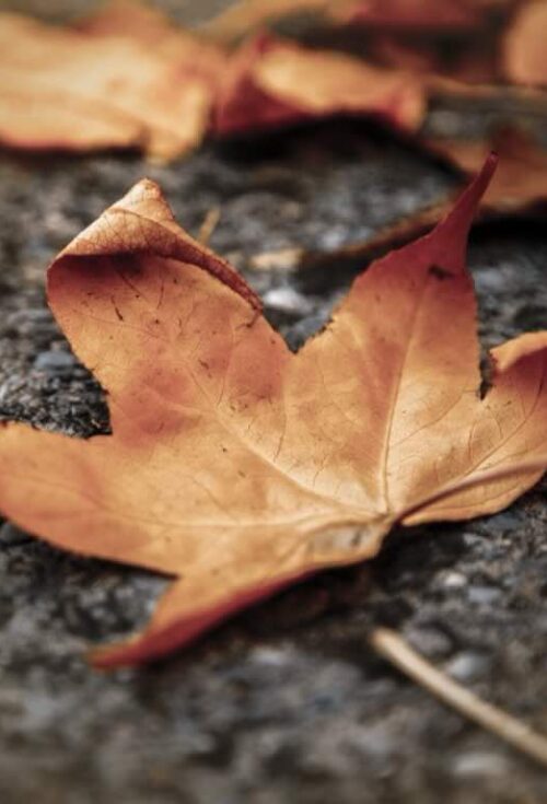 Losing a loved one is never easy. What makes it even harder is when this loss is compounded by uncertainty about what happens to their debts...