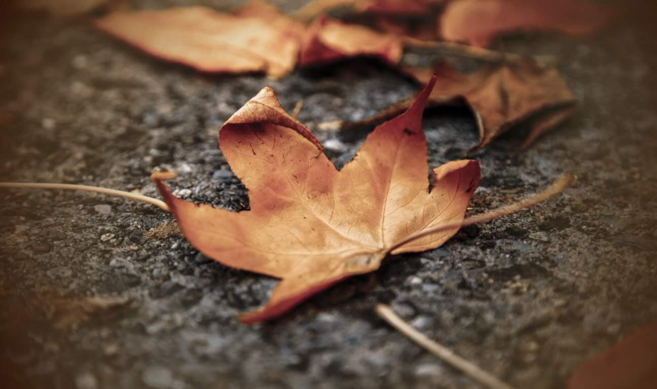 Losing a loved one is never easy. What makes it even harder is when this loss is compounded by uncertainty about what happens to their debts...