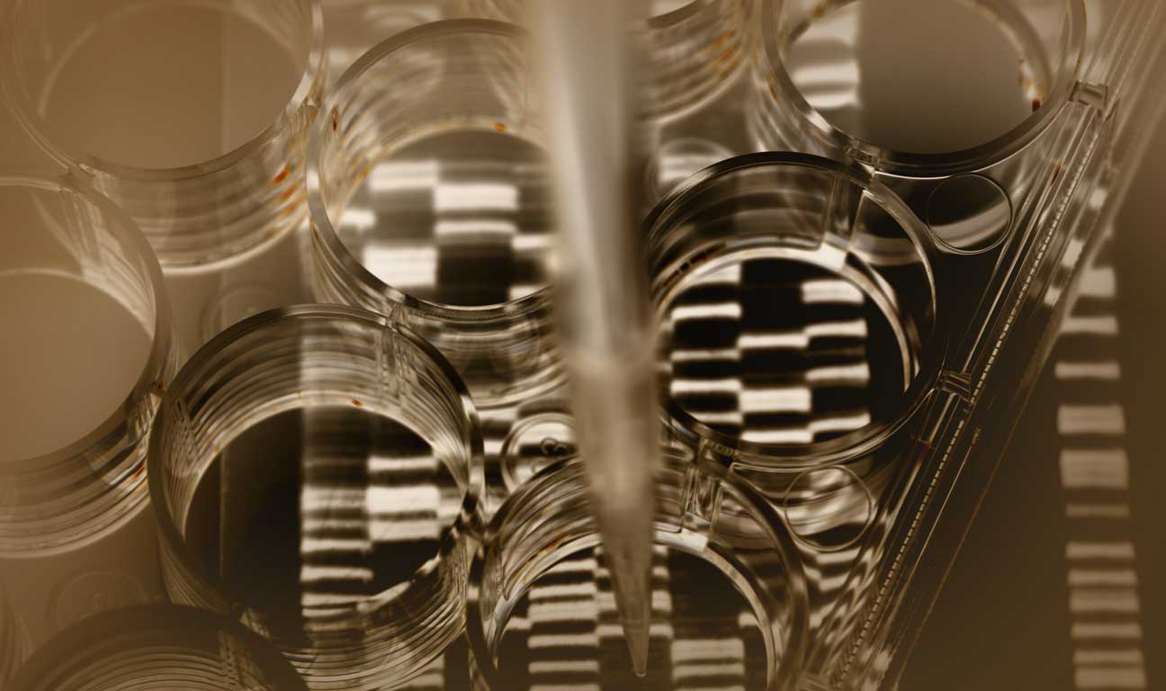 In a compelling High Court decision that has stirred conversations across both the legal and familial landscapes, a £14.5 million trust dispute between two brothers has culminated in a judgment that emphasizes intention over biology.