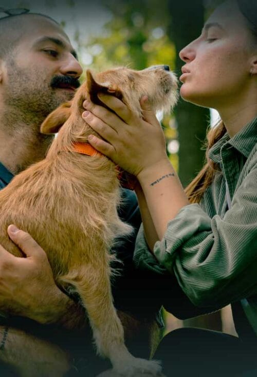 In Canada, if you want your pet to be cared for when you’re no longer around, you need to include them in your estate plan. Here are five ways to include your pet in your estate plan...