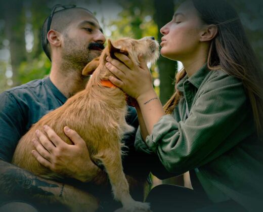 In Canada, if you want your pet to be cared for when you’re no longer around, you need to include them in your estate plan. Here are five ways to include your pet in your estate plan...