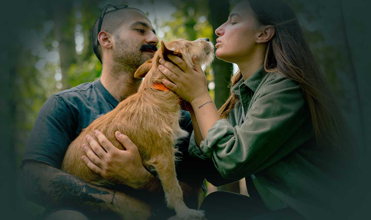 In Canada, if you want your pet to be cared for when you’re no longer around, you need to include them in your estate plan. Here are five ways to include your pet in your estate plan...