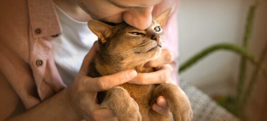 Your pets depend on you and planning for their future is a meaningful way to ensure they continue to receive the love and care they deserve, even after you’re gone.