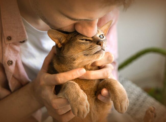 Your pets depend on you and planning for their future is a meaningful way to ensure they continue to receive the love and care they deserve, even after you’re gone.