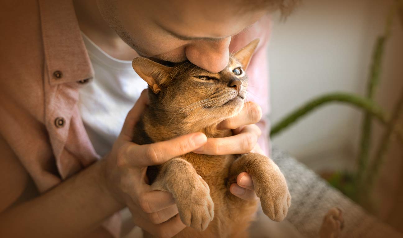 Your pets depend on you and planning for their future is a meaningful way to ensure they continue to receive the love and care they deserve, even after you’re gone.