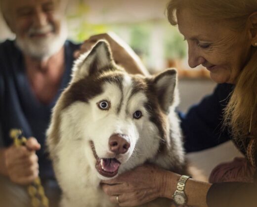 Our pets are more than animals for many of us. They are beloved family members, providing companionship, joy, and comfort. How can you include your pets in your estate plan? What are your options?