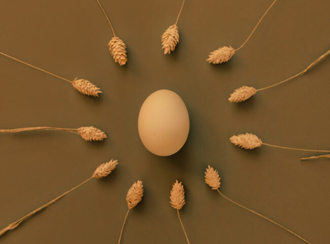 How will your stored reproductive material be dealt with after your death? Will the material be disposed of, or does the material form part of your estate to be passed on to a selected beneficiary?