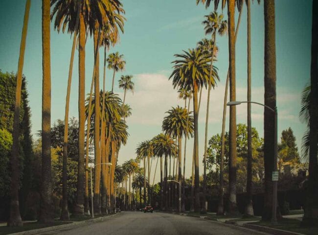 Tori Spelling, daughter of TV producer Aaron Spelling, received an inheritance of $800,000 from his $500 million estate, not the substantial sum some might have expected. 