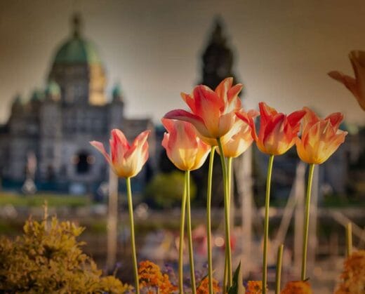 Court rules against woman who sought to have $1.8-million inheritance placed in fully discretionary trust to avoid losing disability benefits...