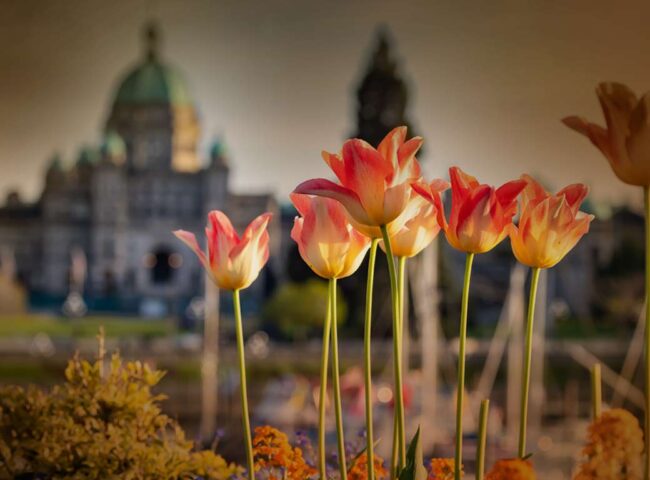 Court rules against woman who sought to have $1.8-million inheritance placed in fully discretionary trust to avoid losing disability benefits...