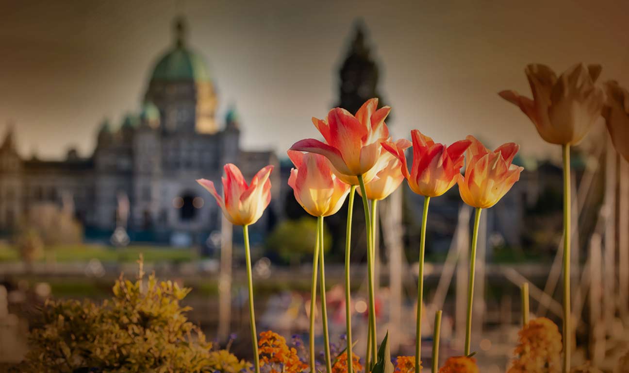 Court rules against woman who sought to have $1.8-million inheritance placed in fully discretionary trust to avoid losing disability benefits...