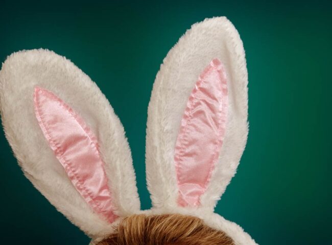 The Anna Nicole Smith estate saga is more than just a celebrity courtroom drama; it's a cautionary tale with lessons for everyone, according to attorney John Levy. 