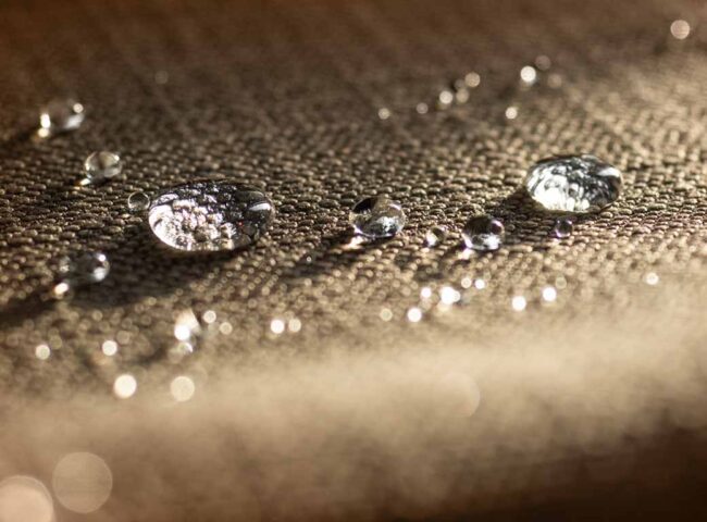 Gore-Tex Heiress, Susan Gore, has been denied the right to adopt her 65-year-old ex-husband as a means to boost her family's inheritance fortune.