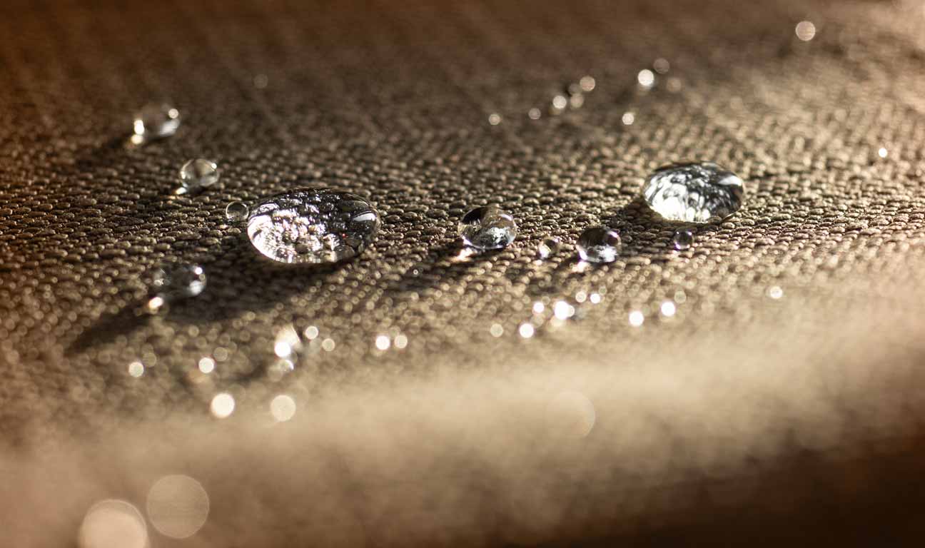 Gore-Tex Heiress, Susan Gore, has been denied the right to adopt her 65-year-old ex-husband as a means to boost her family's inheritance fortune.