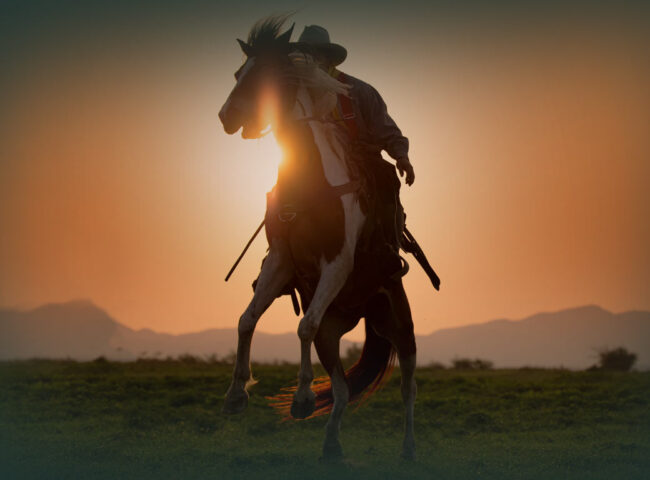 Robert Redford's stunning $20m property portfolio revealed after Hollywood icon dies in his sleep aged 89