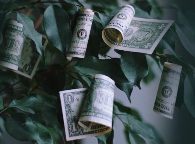 Some events in life have unexpected effects... Inheriting a large sum of money can be like that. It sounds good, but it is often riddled with conflicting emotions and unexpected challenges.