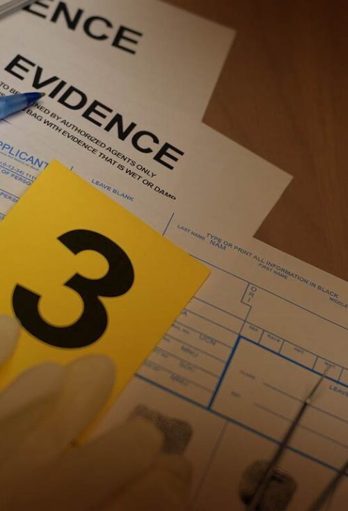 A successful dependant support application requires clear, detailed and credible evidence. This article explores these requirements, highlighting key principles from recent case law.