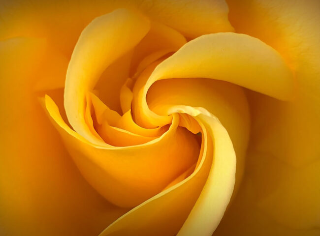 Texas doesn’t tax your estate or your inheritance—but the federal government might. And if you own property in other states, you may still be affected by their rules. Let’s break down how smart planning can protect your legacy.