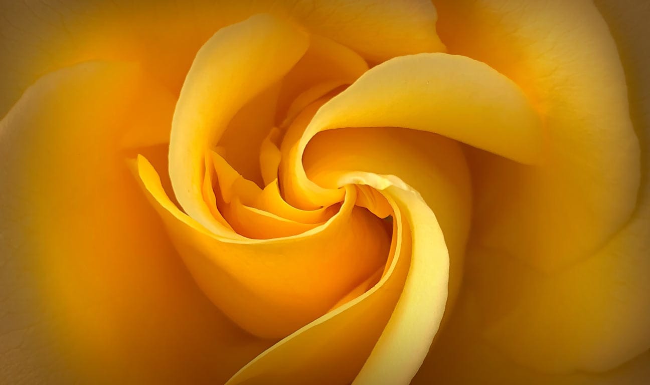 Texas doesn’t tax your estate or your inheritance—but the federal government might. And if you own property in other states, you may still be affected by their rules. Let’s break down how smart planning can protect your legacy.