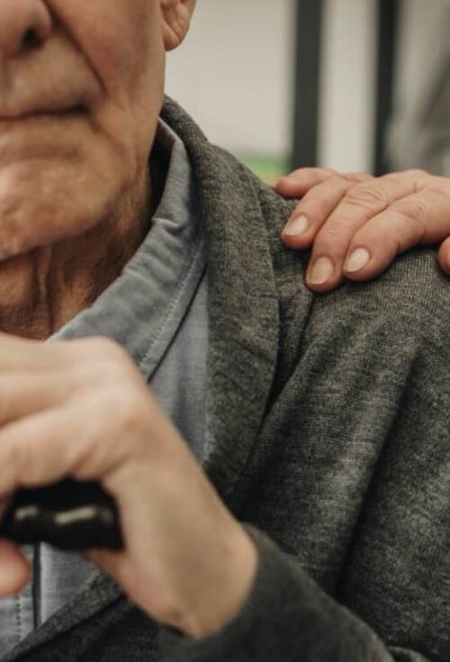 Undue influence is not mere persuasion or advice. It requires coercive elements that override the testator’s free will. Courts look for a combination of susceptibility, opportunity, and improper pressure that causes the vulnerable person to act contrary to their true wishes.