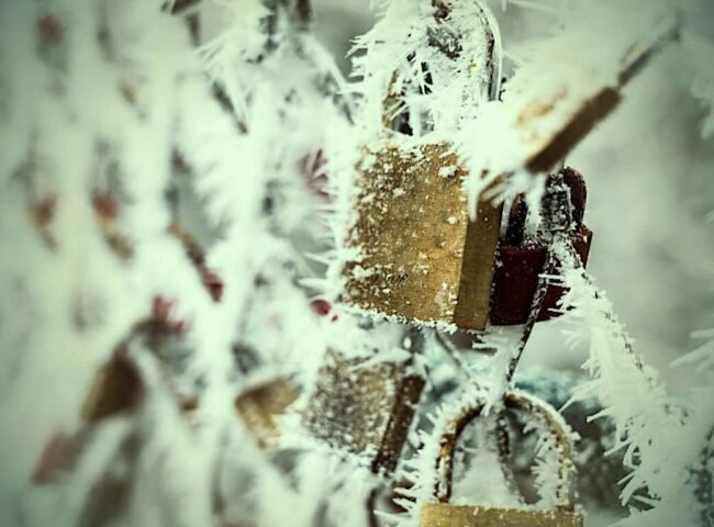 In estate planning, people often seek strategies to safeguard their wealth. One such approach is the “Estate Freeze”. This strategy effectively locks in the current value of an estate, minimizes tax implications, and ensures a seamless transfer of assets.