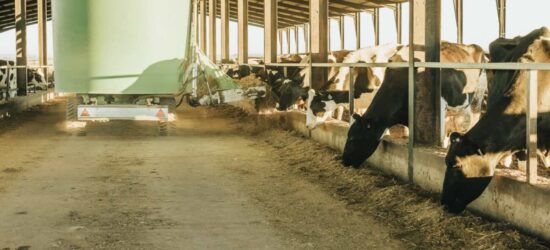 Recent Ontario Court of Appeal decision provides an important lesson to farming families and their professional advisors: good intentions and family loyalty, while laudable, are no substitute for clear, enforceable agreements.