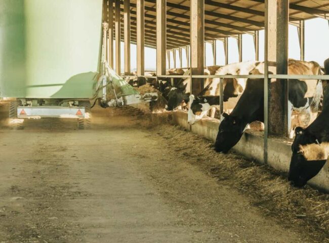 Recent Ontario Court of Appeal decision provides an important lesson to farming families and their professional advisors: good intentions and family loyalty, while laudable, are no substitute for clear, enforceable agreements.