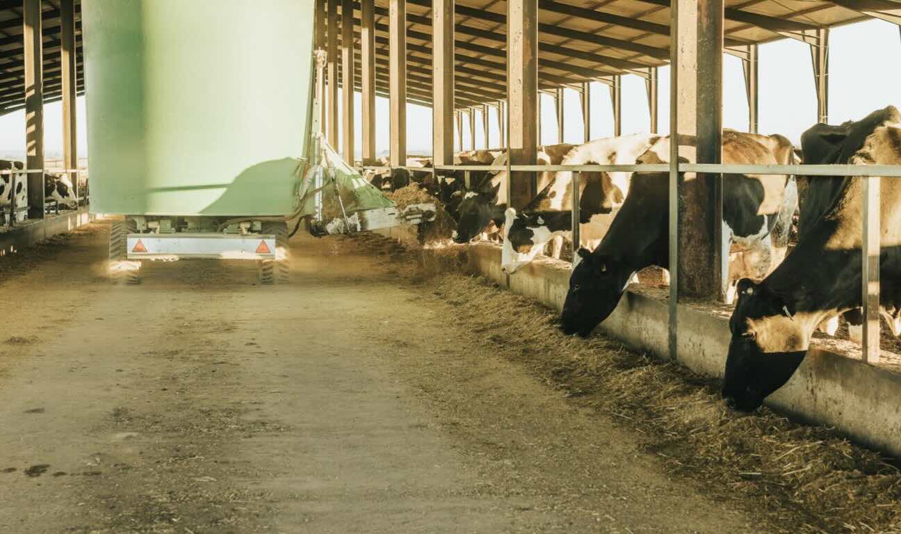 Recent Ontario Court of Appeal decision provides an important lesson to farming families and their professional advisors: good intentions and family loyalty, while laudable, are no substitute for clear, enforceable agreements.