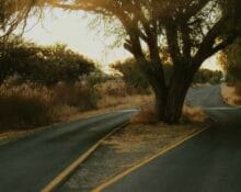 Estate litigation lawyers across Canada are seeing a steady increase in undue influence estate disputes. Families are more frequently questioning whether a will truly reflects a loved one’s wishes or whether someone exerted pressure behind the scenes.