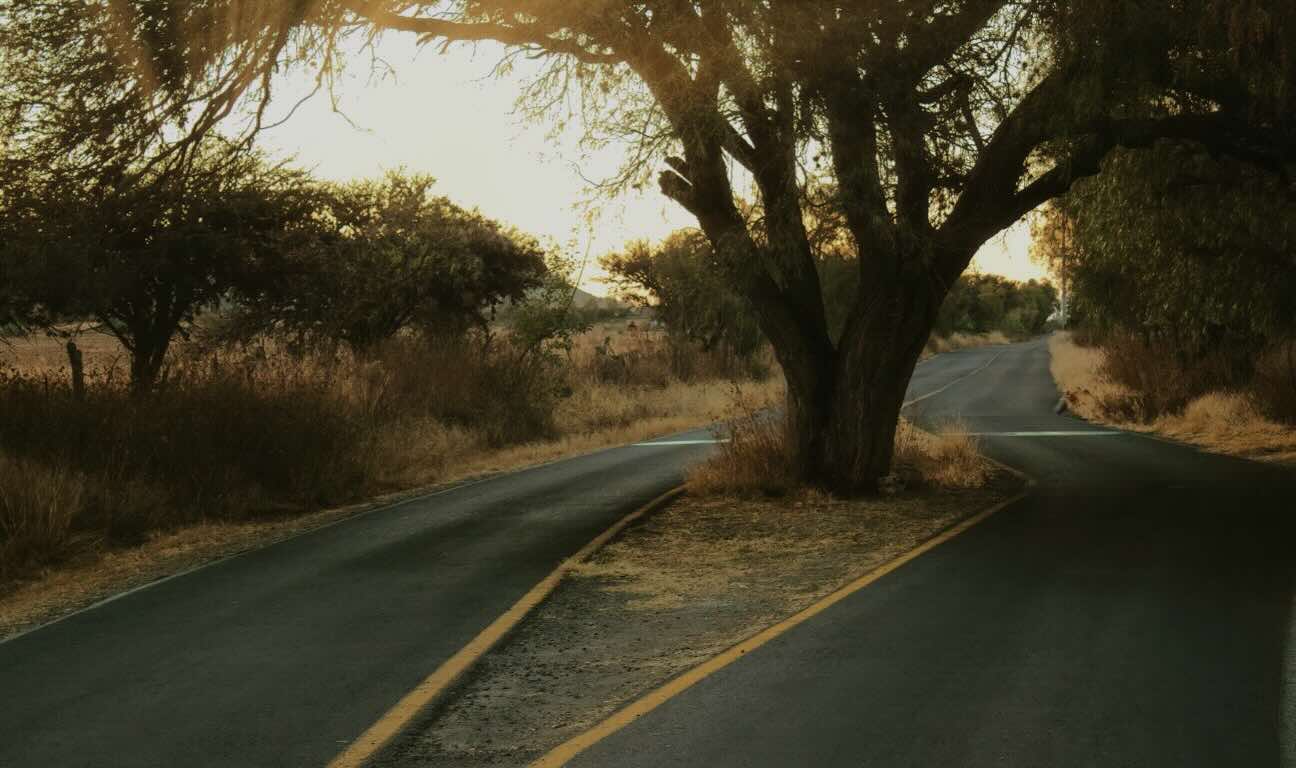 Estate litigation lawyers across Canada are seeing a steady increase in undue influence estate disputes. Families are more frequently questioning whether a will truly reflects a loved one’s wishes or whether someone exerted pressure behind the scenes.