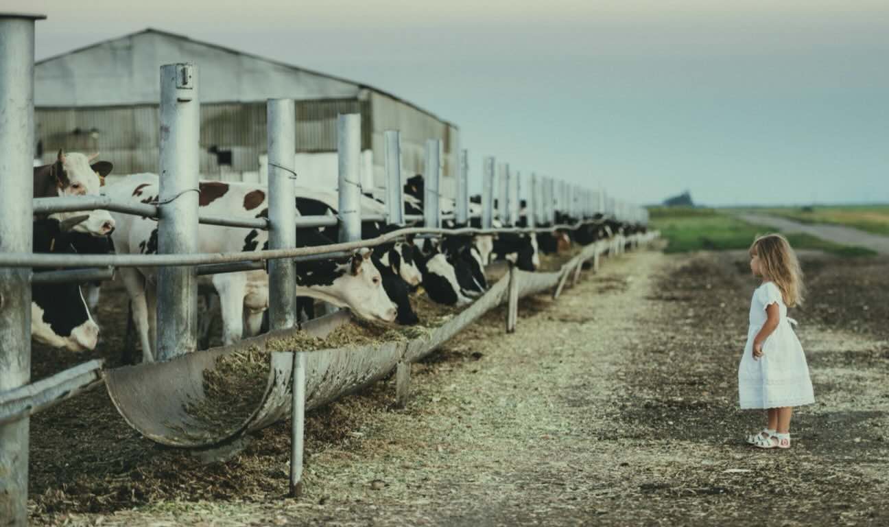 "Some businesses remain in the family. Others do not. Business owners might muse about succession within the family unit. However, musings do not always give rise to enforceable promises."