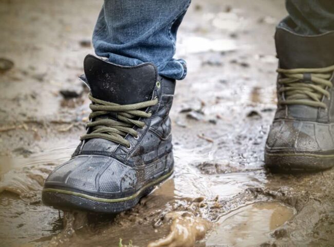 Absence of a clear and well-structured will often leads to protracted and costly legal disputes, straining relationships. Take steps, now, to ensure your will is "contest-proof"...