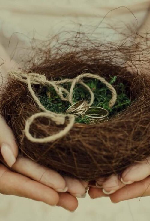 The spousal rollover applies differently across property types. Understanding how this rule functions and knowing exactly when an executor should strategically elect out of it is one of the most vital components of estate planning. 