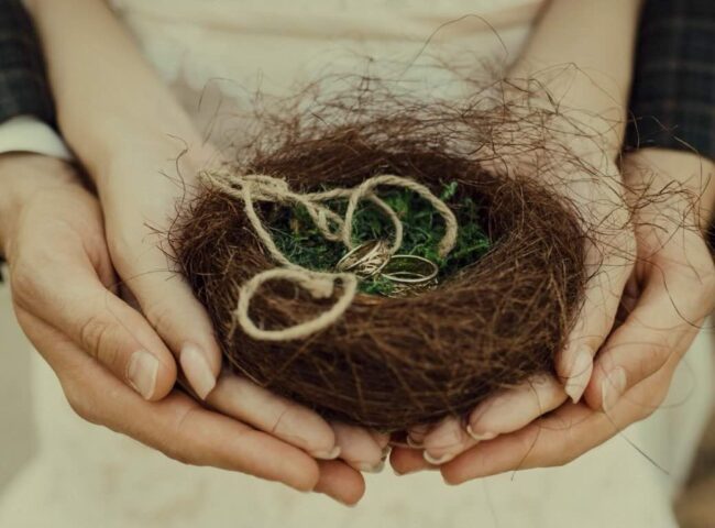 The spousal rollover applies differently across property types. Understanding how this rule functions and knowing exactly when an executor should strategically elect out of it is one of the most vital components of estate planning. 