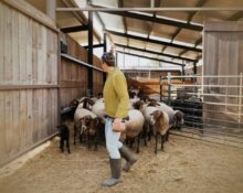 A handshake promise to leave the family farm can legally override a written will in New South Wales. The legal mechanism is equitable estoppel, and courts have enforced it in farm succession disputes where the evidence is strong enough.