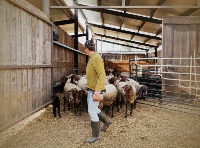 A handshake promise to leave the family farm can legally override a written will in New South Wales. The legal mechanism is equitable estoppel, and courts have enforced it in farm succession disputes where the evidence is strong enough.