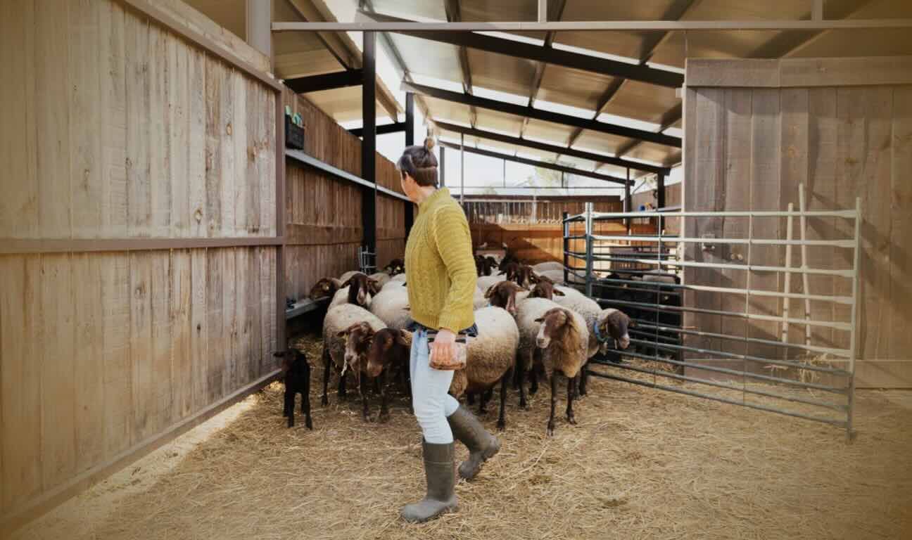 A handshake promise to leave the family farm can legally override a written will in New South Wales. The legal mechanism is equitable estoppel, and courts have enforced it in farm succession disputes where the evidence is strong enough.